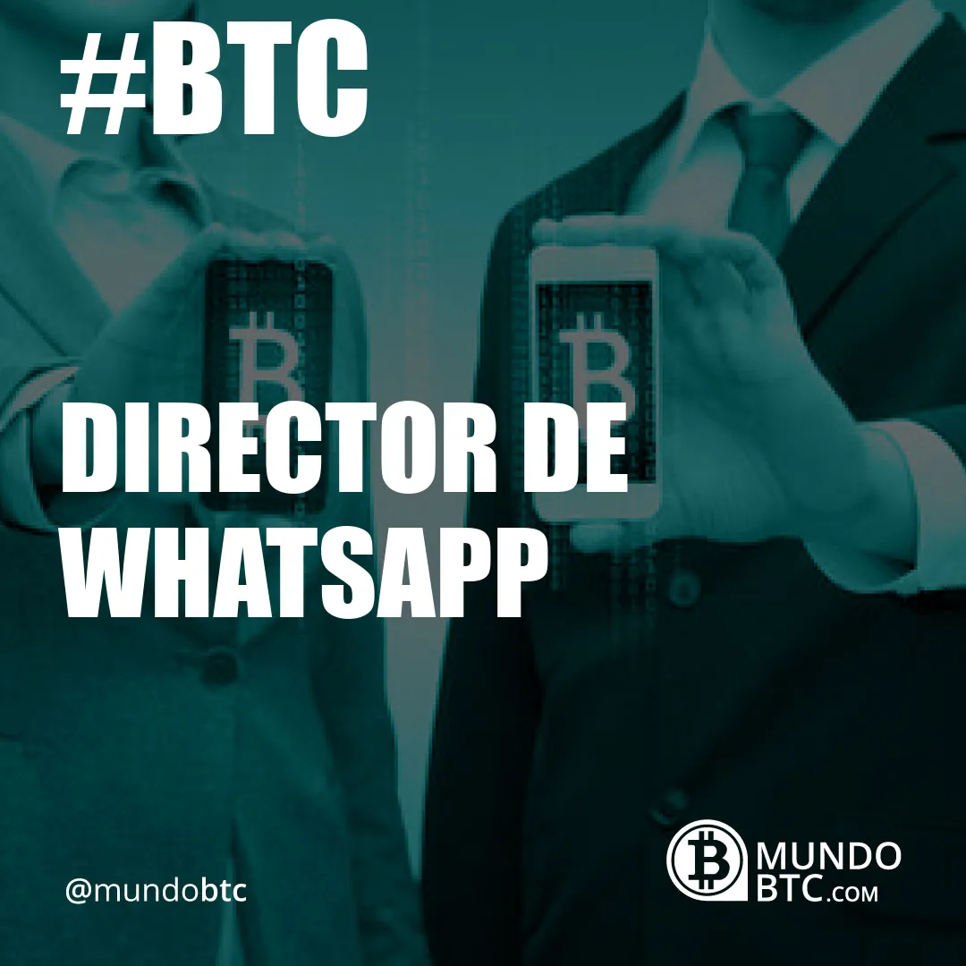 director de whatsapp