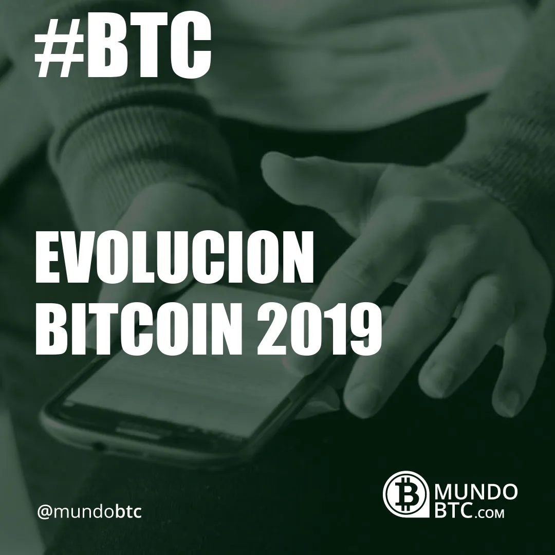 evolucion bitcoin 2019