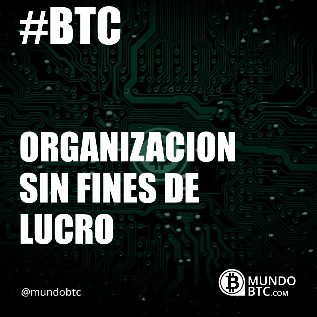 Organizacion sin Fines de Lucro