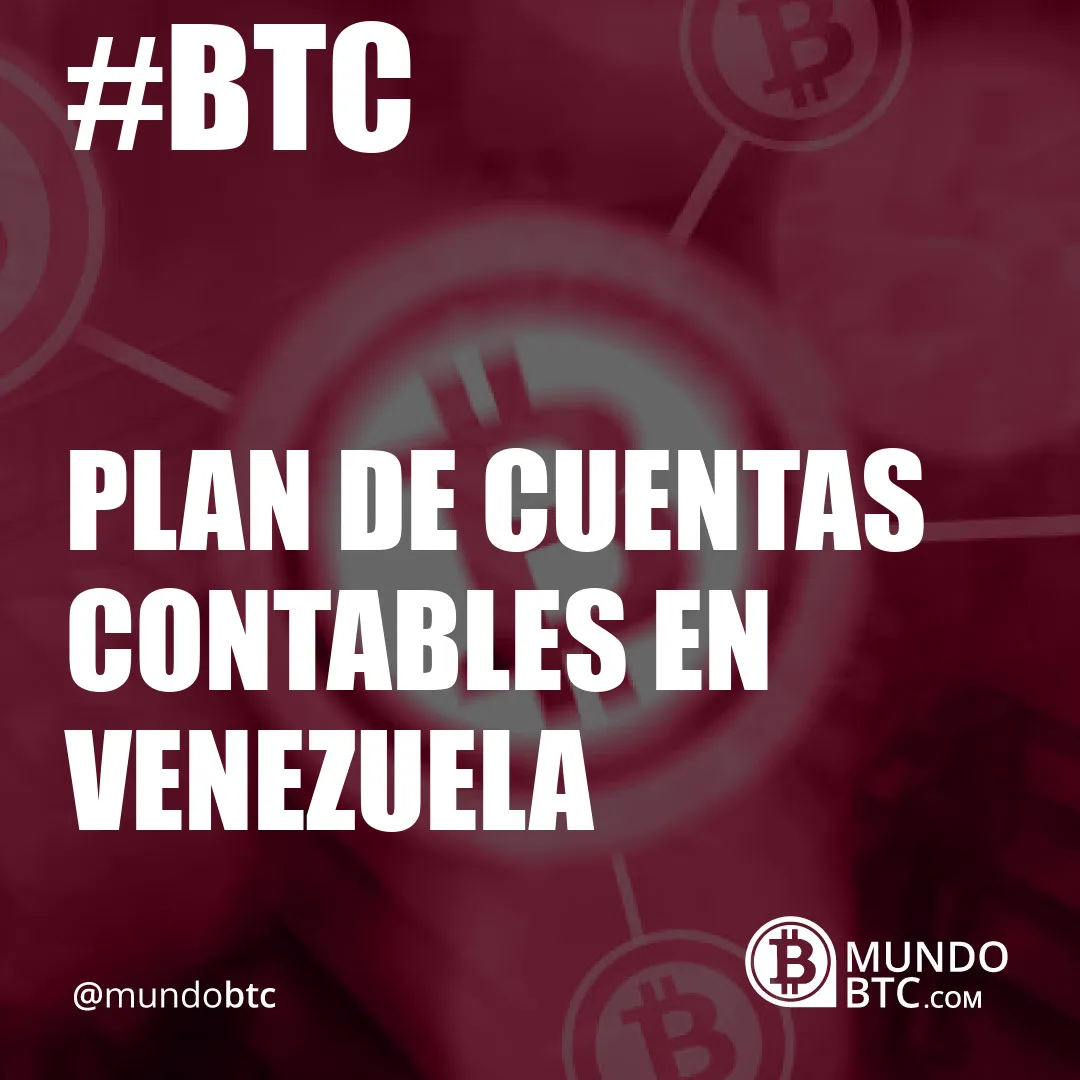 plan de cuentas contables en venezuela