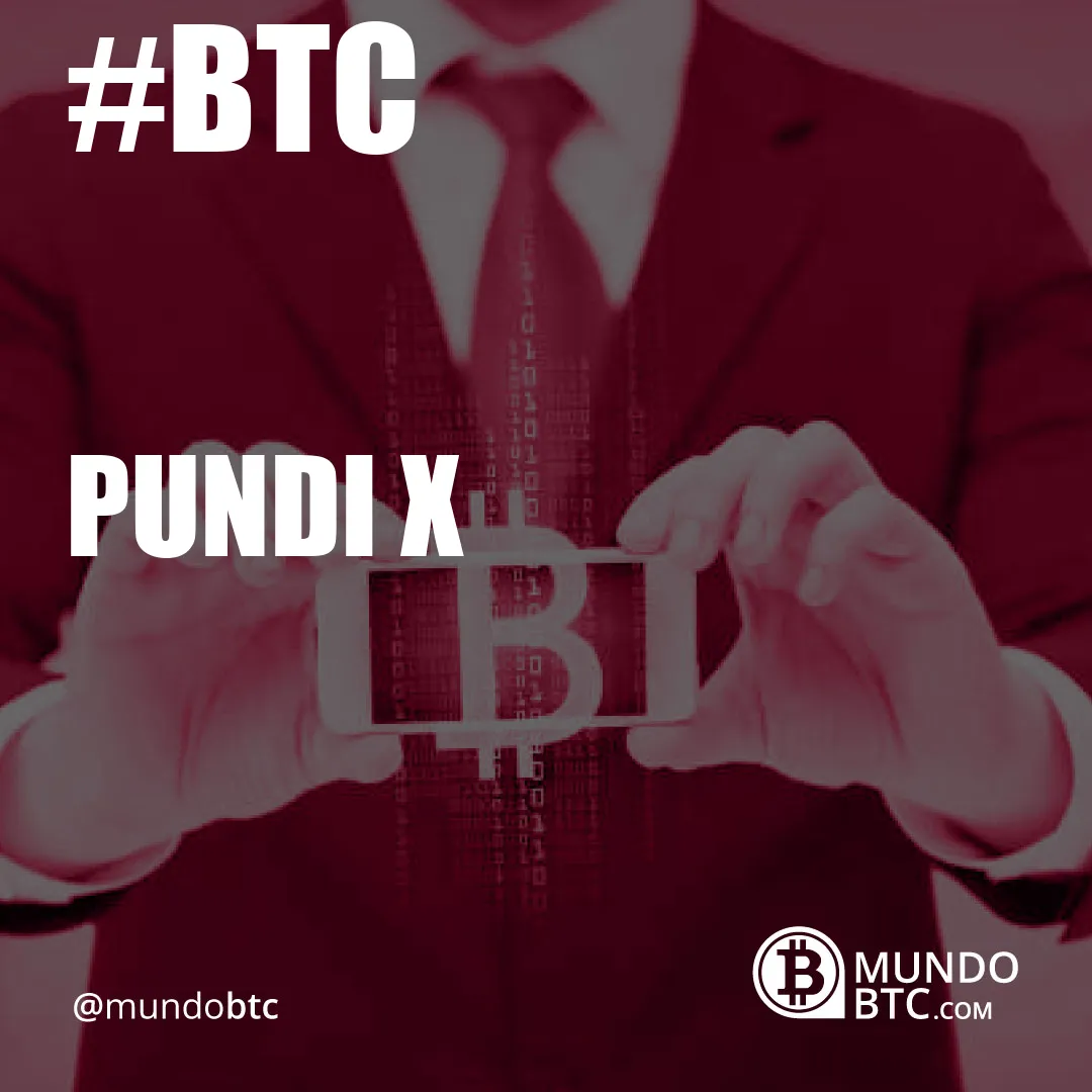 pundi x