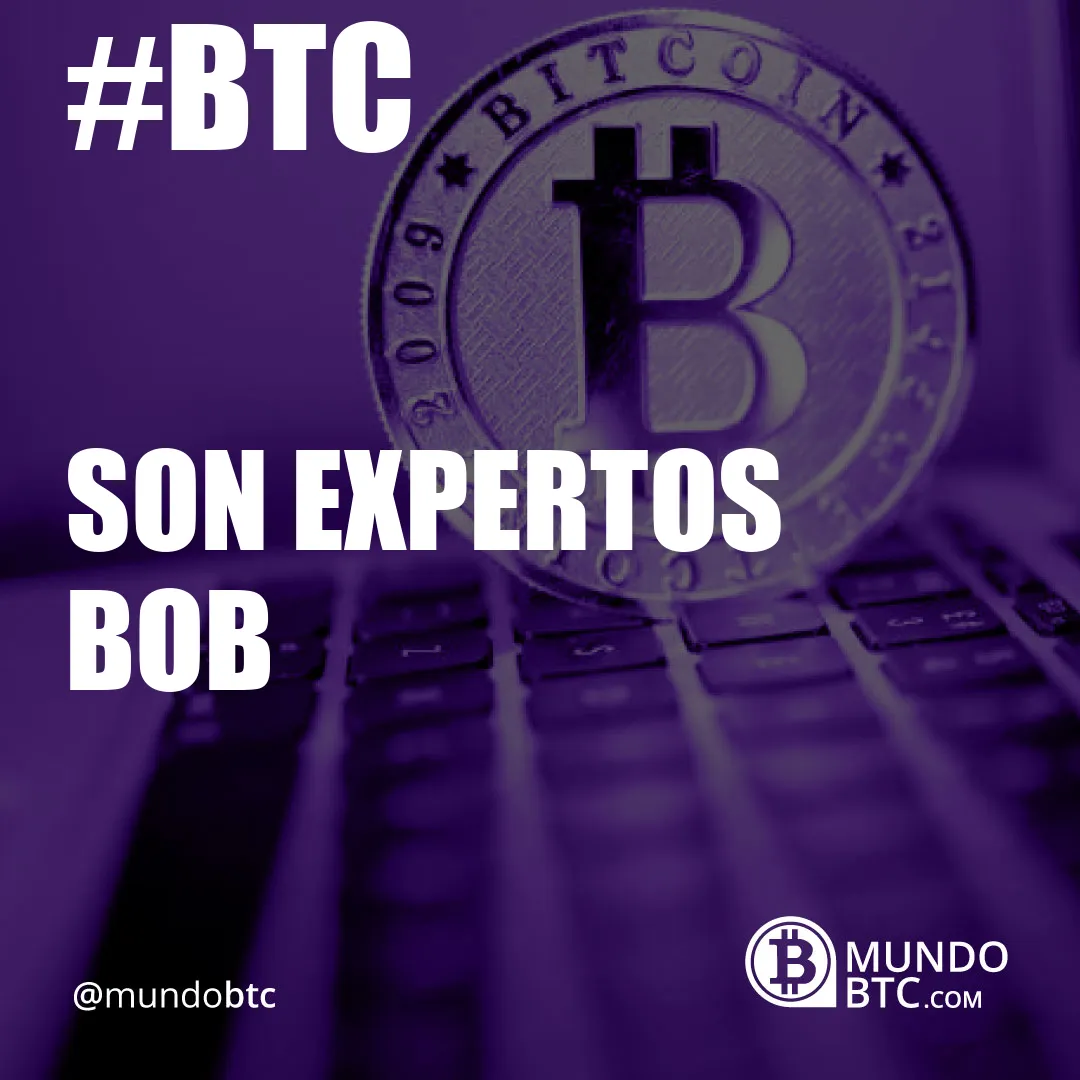 Son Expertos Bob