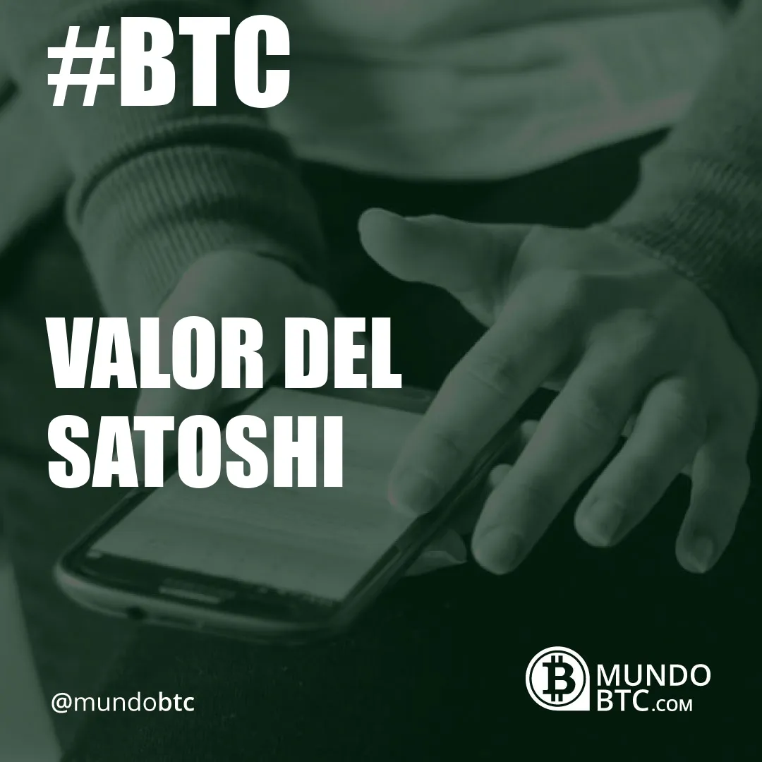 Valor del Satoshi