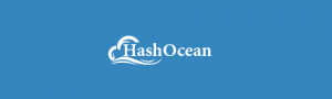 HashOcean un Camino Directo al Naufragio de tus Ahorros